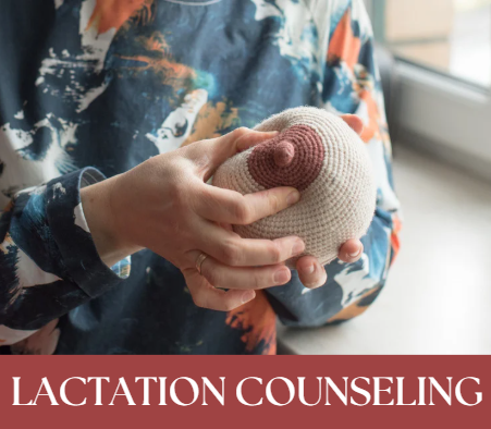 Lactation Counseling